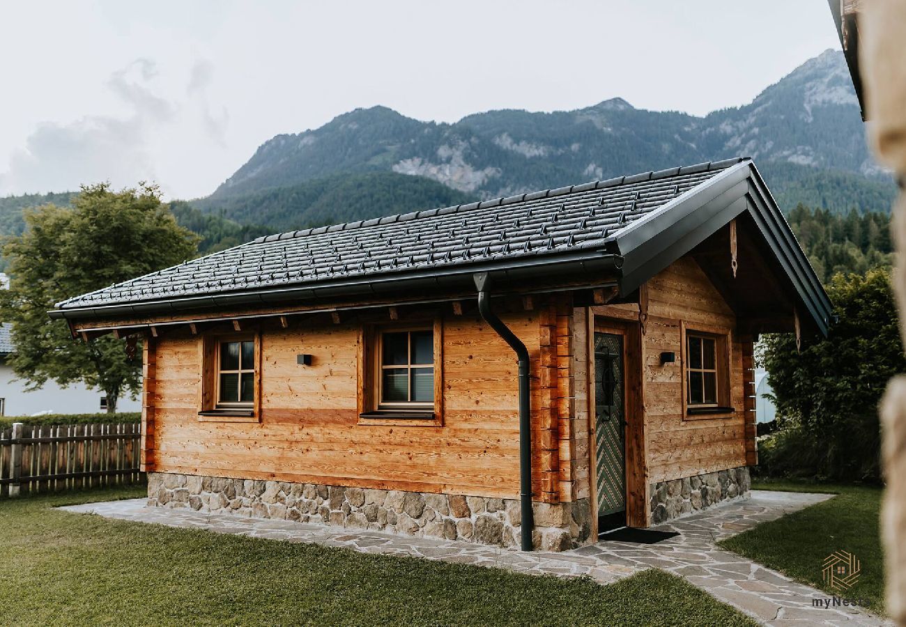 House in Haus im Ennstal - Chalet Hoamatgfühl