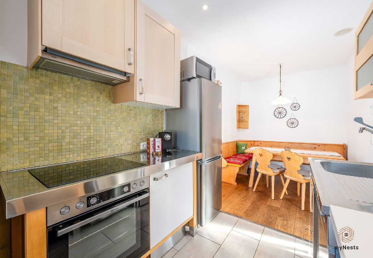 Apartment in Bad Mitterndorf - Alte Schmiede 1