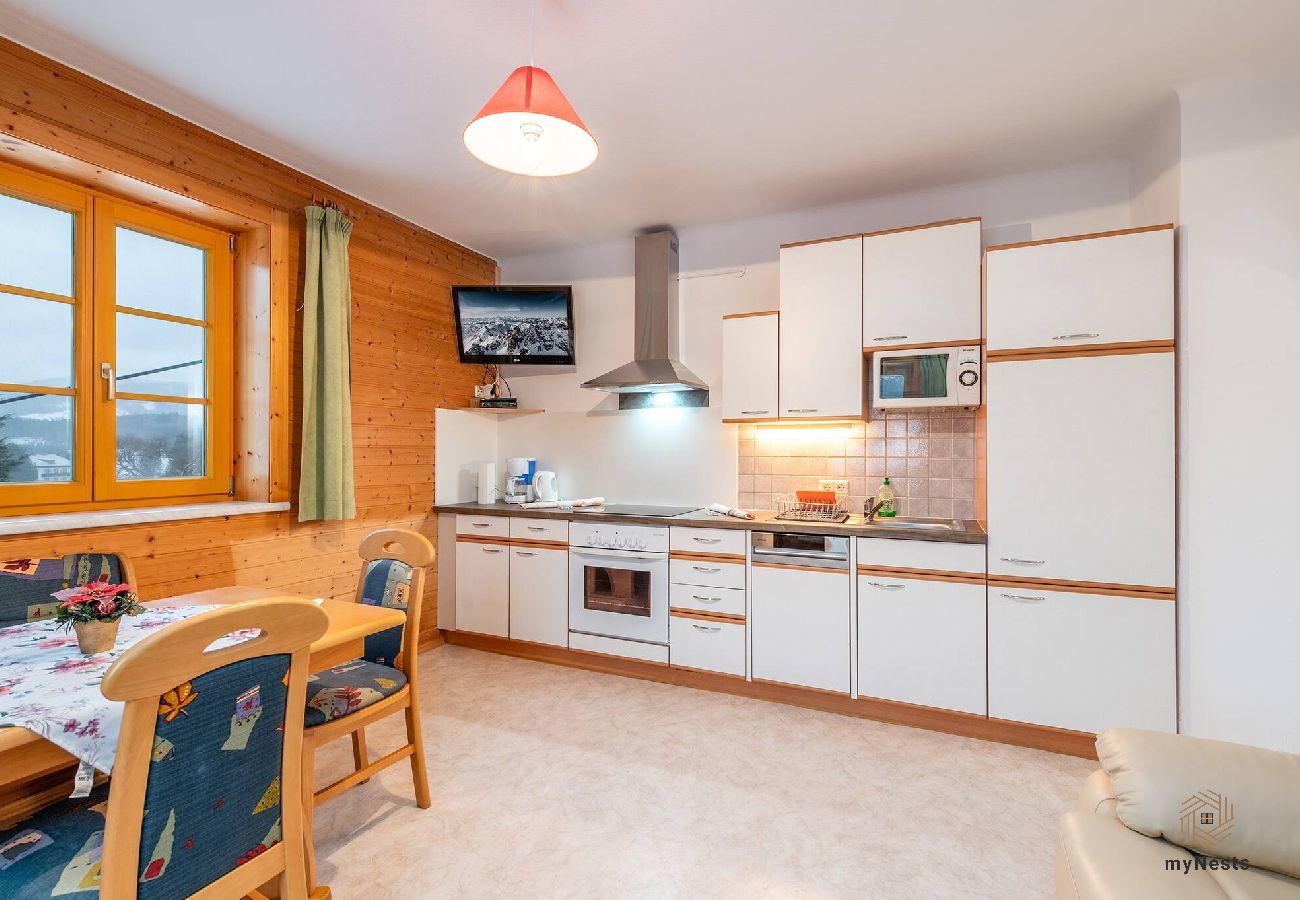 Apartment in Mitterberg-Sankt Martin - Matzling Apartment 1