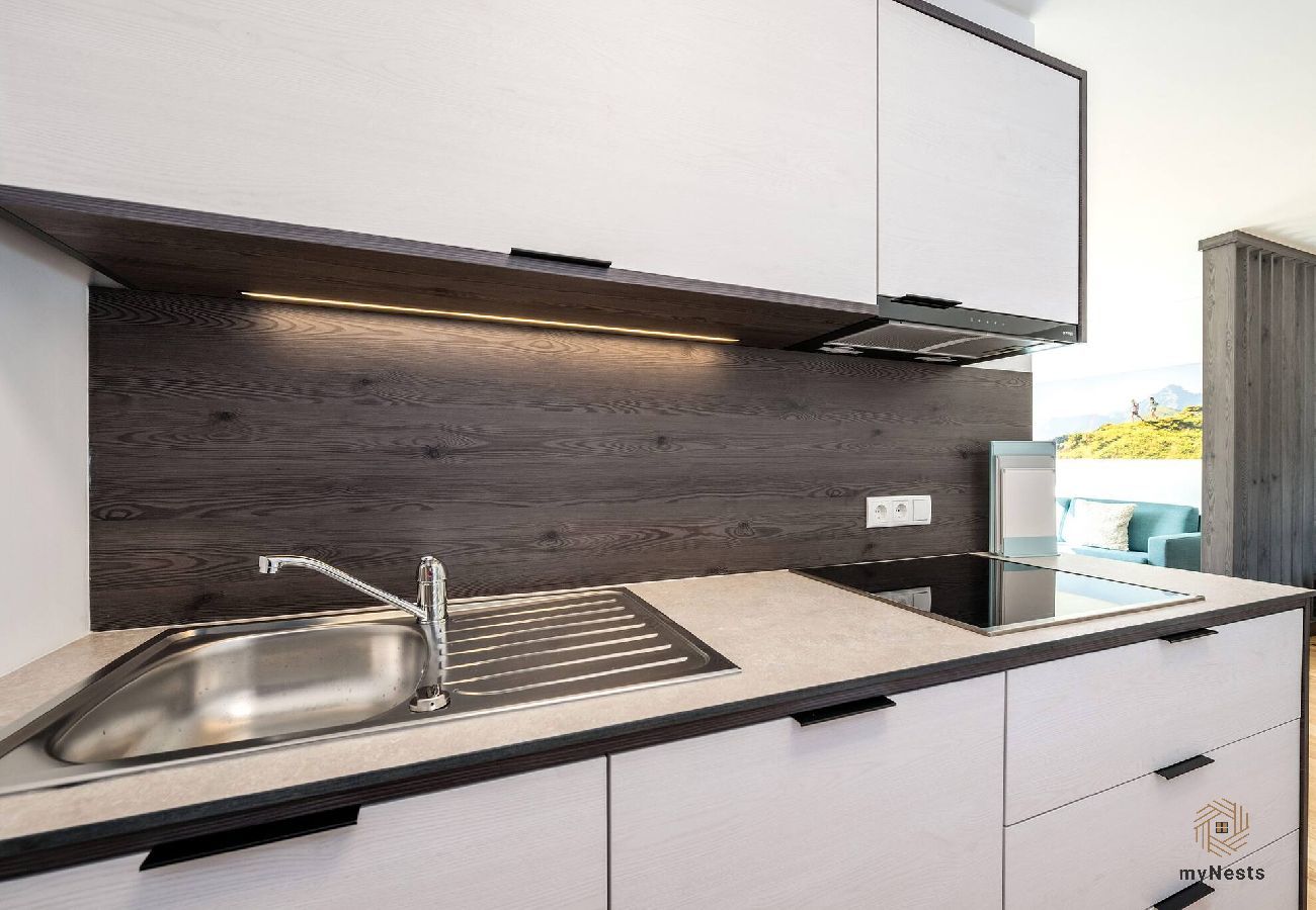 Apartment in Haus im Ennstal - Wiesenblick Residences - Apartment 15