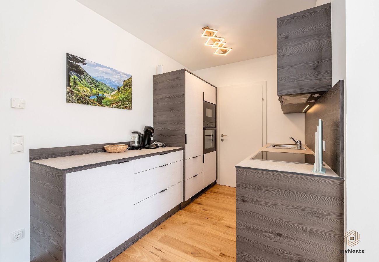 Apartment in Haus im Ennstal - Wiesenblick Residences - Apartment 15