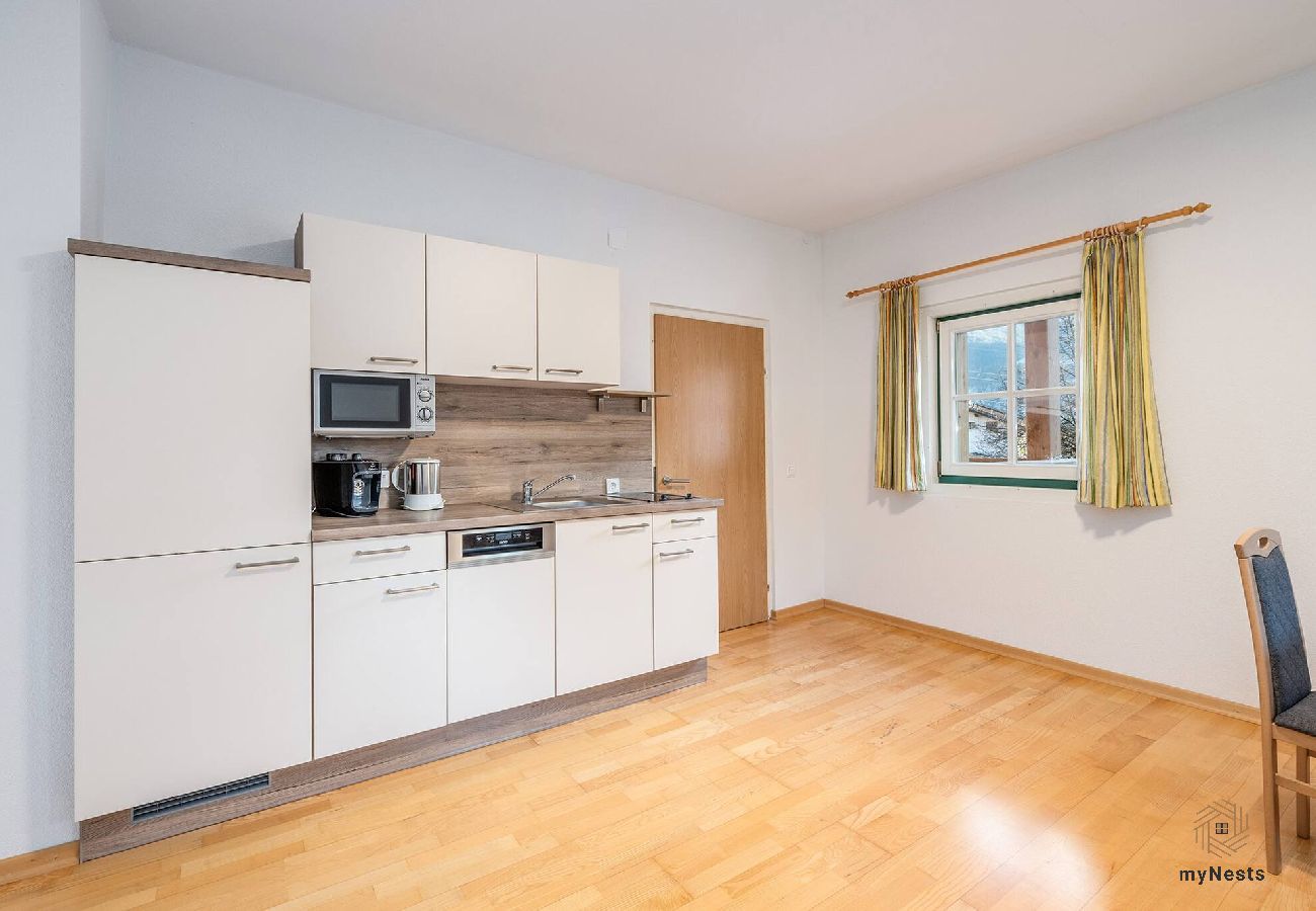 Apartment in Haus im Ennstal - Stieglerhof - Bergrefugium 1