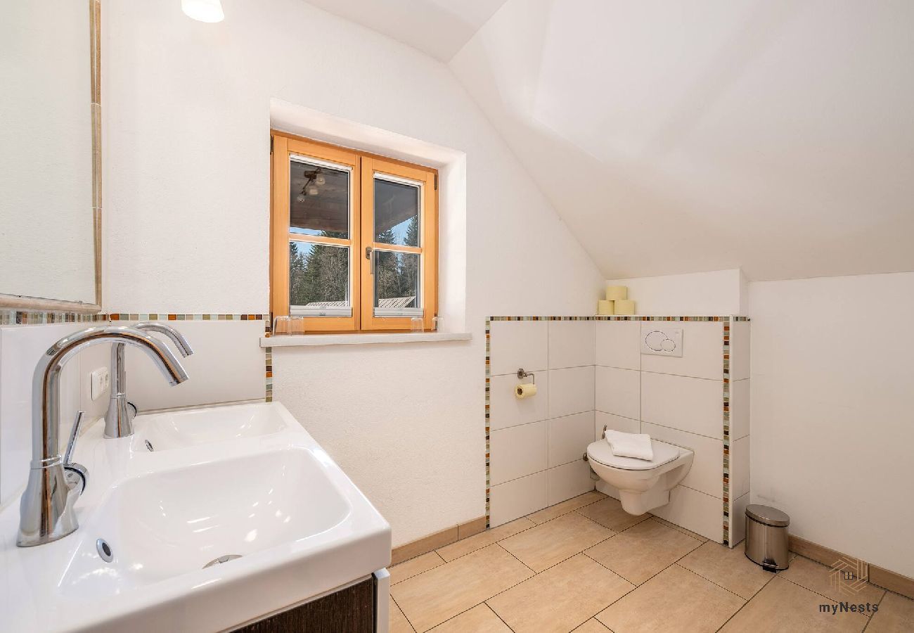 Apartment in Bad Mitterndorf - Alte Schmiede 2
