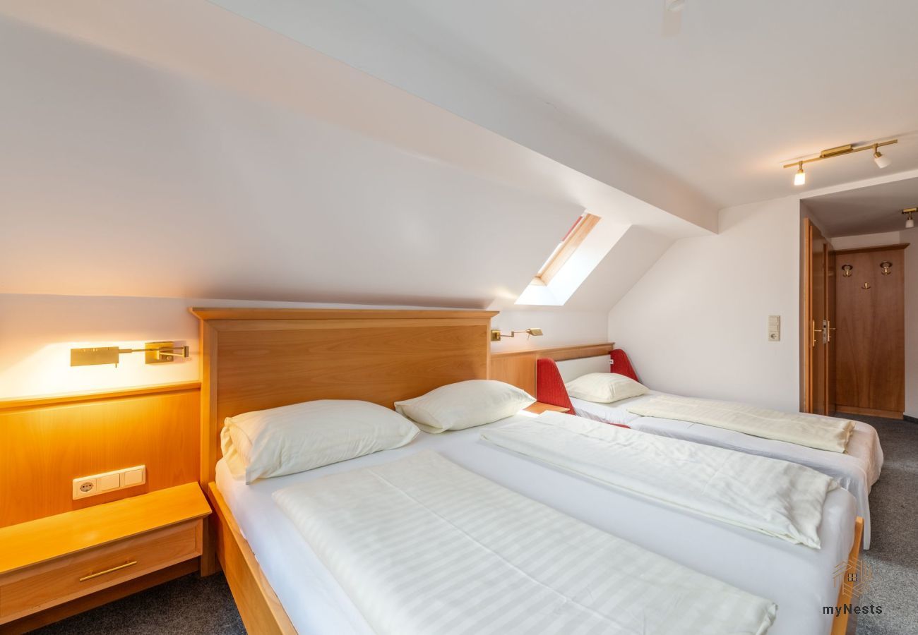 Apartment in Mitterberg-Sankt Martin - Reisslerhof - Apartment for 7 persons