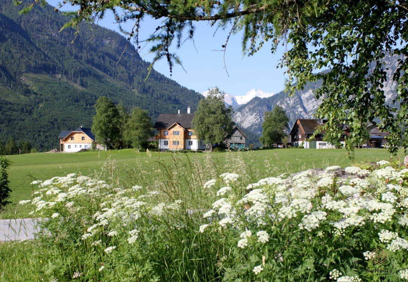 Apartment in Bad Aussee - Stanglhof - Apartment Sarstein