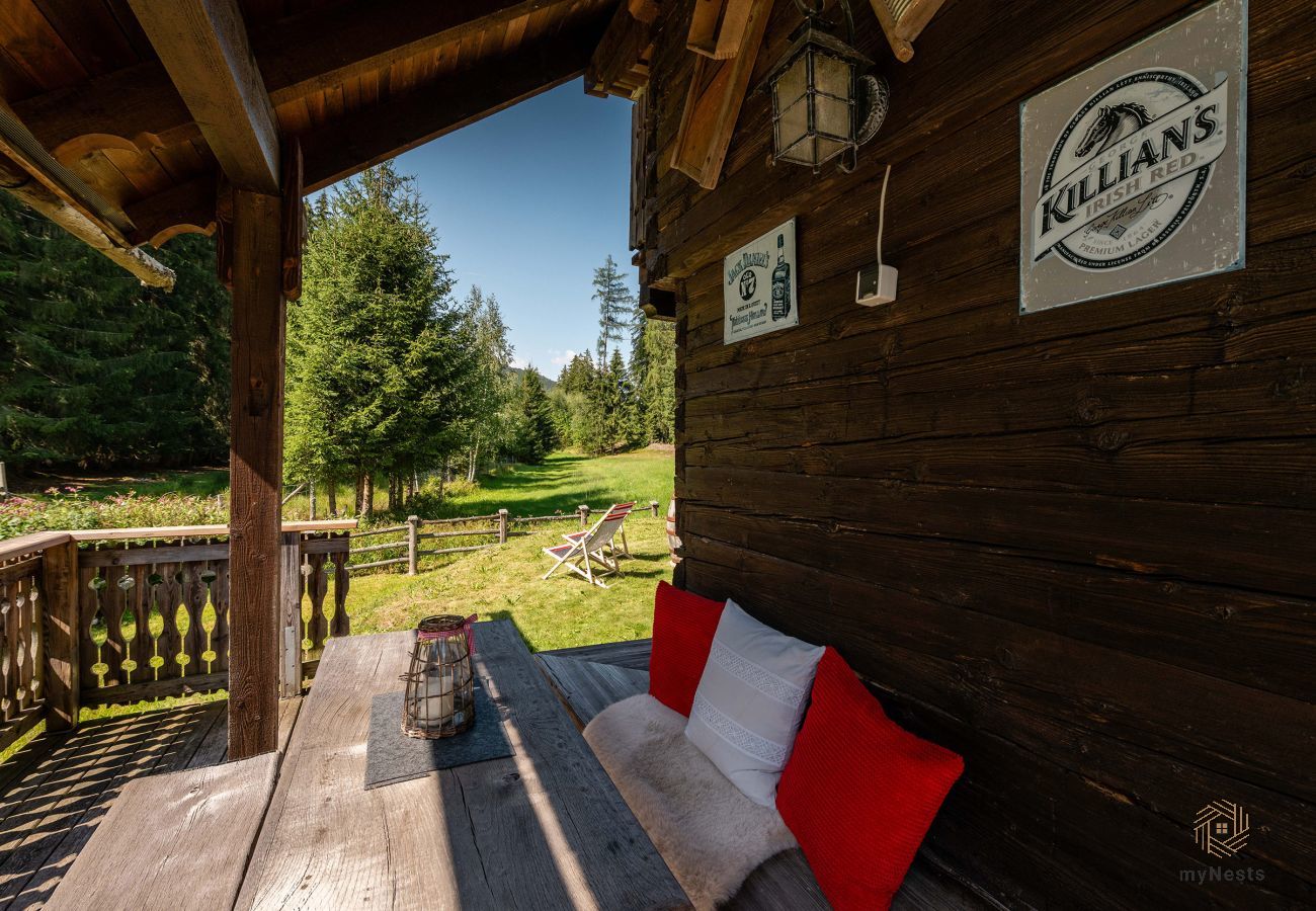 Cabin in Haus im Ennstal - Herzstück - Troadkasten am Hauser Kaibling