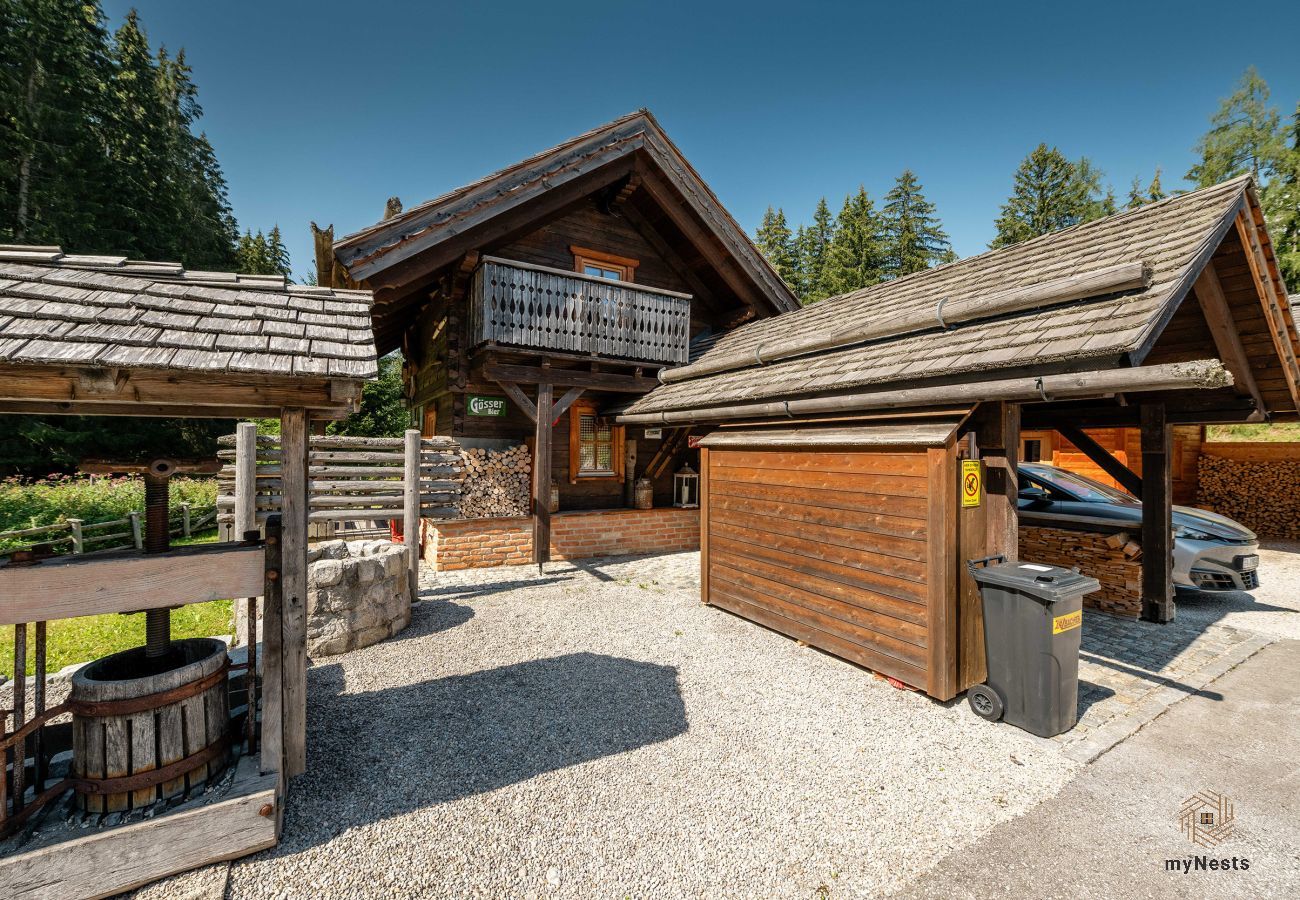 Cabin in Haus im Ennstal - Herzstück - Troadkasten am Hauser Kaibling