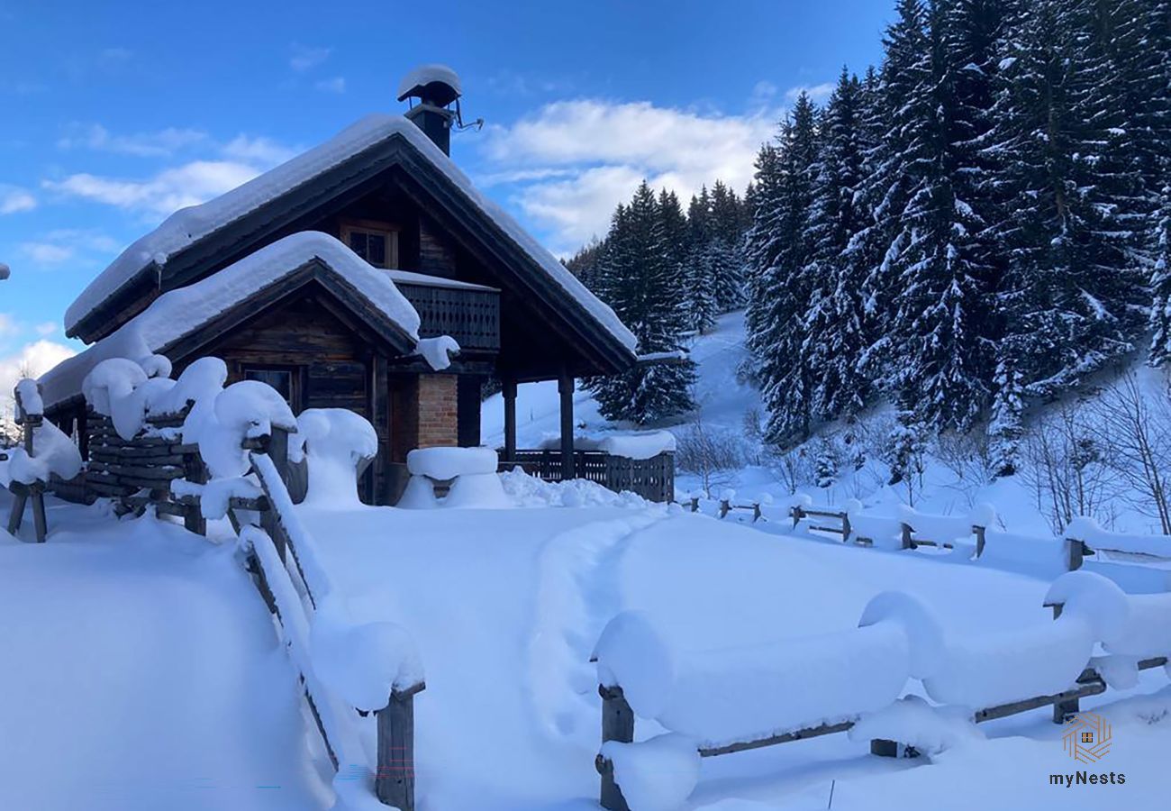 Cabin in Haus im Ennstal - Herzstück - Troadkasten am Hauser Kaibling