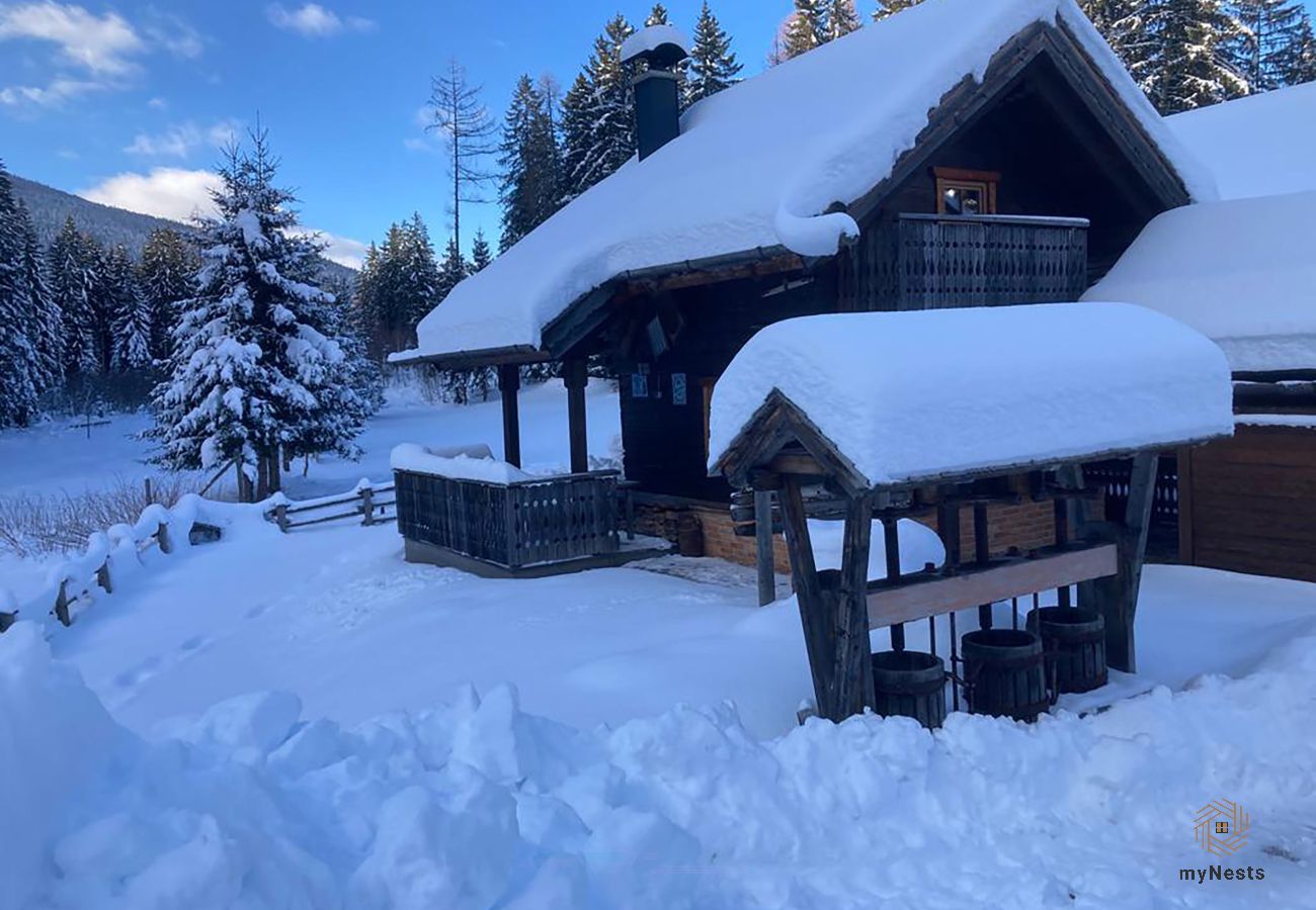 Cabin in Haus im Ennstal - Herzstück - Troadkasten am Hauser Kaibling