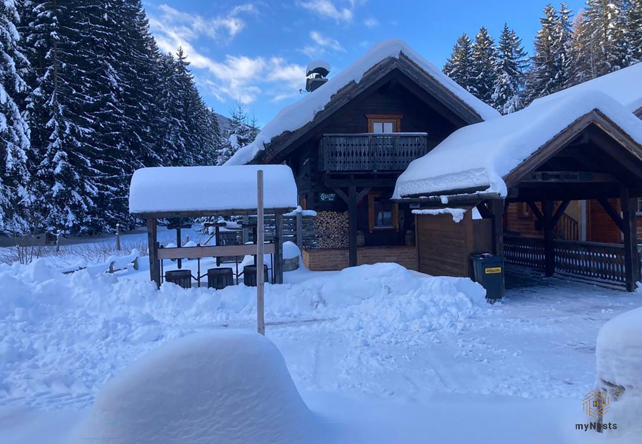 Cabin in Haus im Ennstal - Herzstück - Troadkasten am Hauser Kaibling