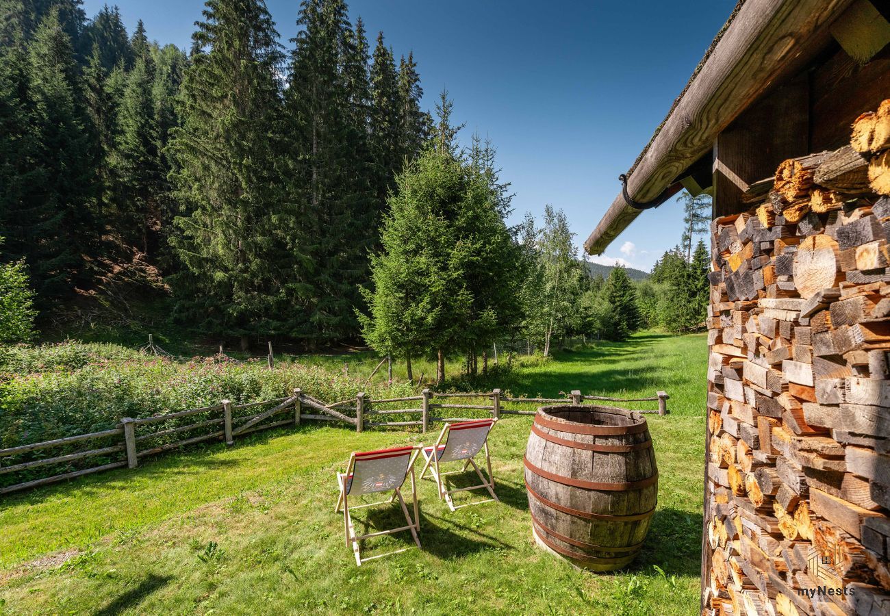 Cabin in Haus im Ennstal - Herzstück - Troadkasten am Hauser Kaibling