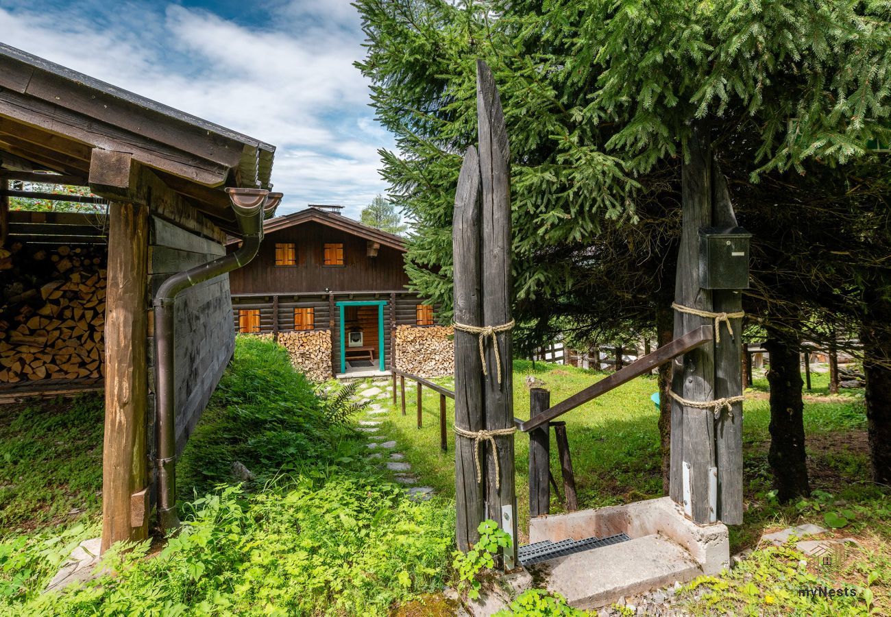 Cabin in Schladming - Planai 66 - Panorama-Lodge