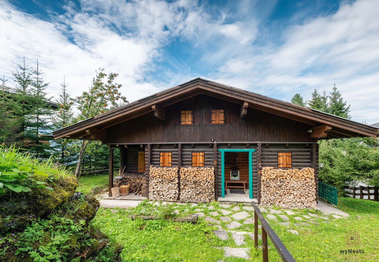 Cabin in Schladming - Planai 66 - Panorama-Lodge