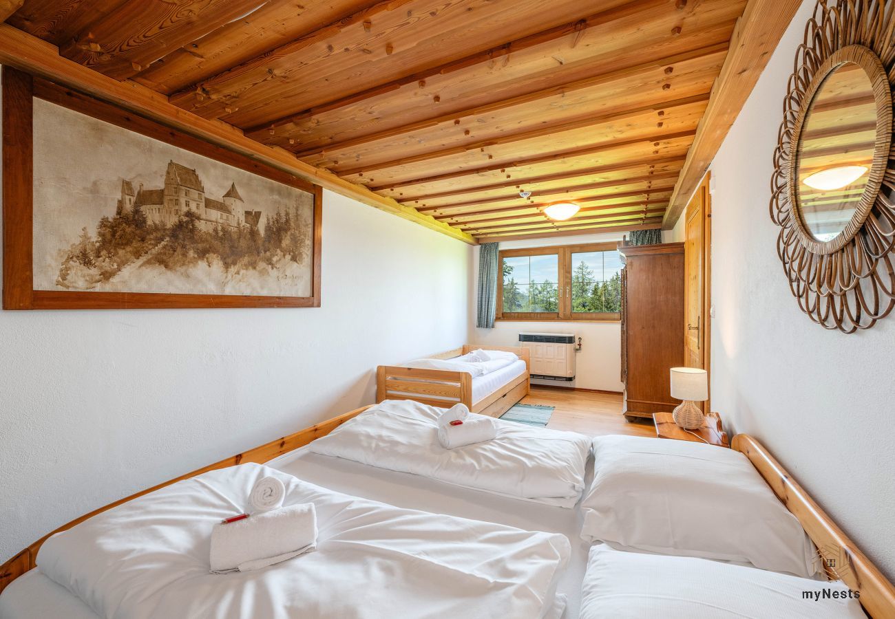 Cabin in Schladming - Planai 66 - Bergstube 