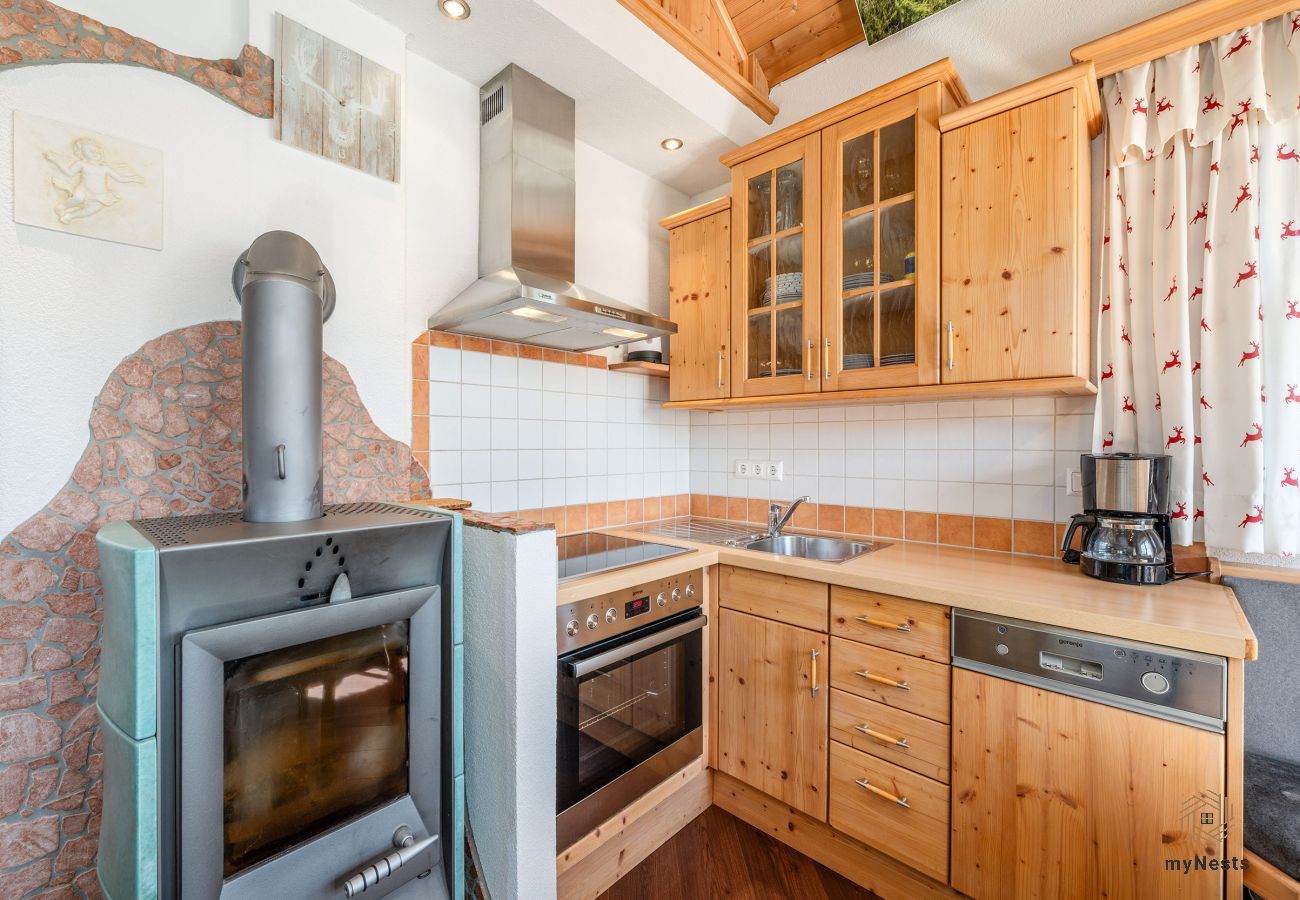 House in Gröbming - Ferienhaus  Hubner