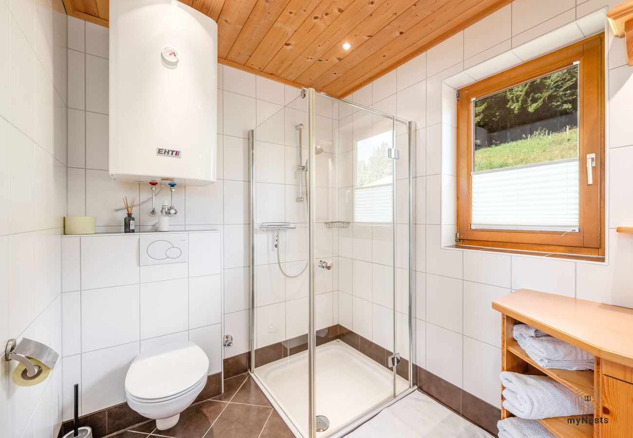 House in Gröbming - Ferienhaus  Hubner