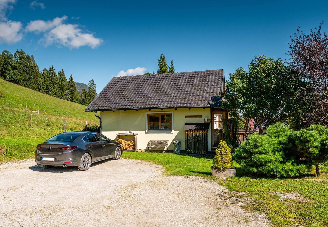 House in Gröbming - Ferienhaus  Hubner