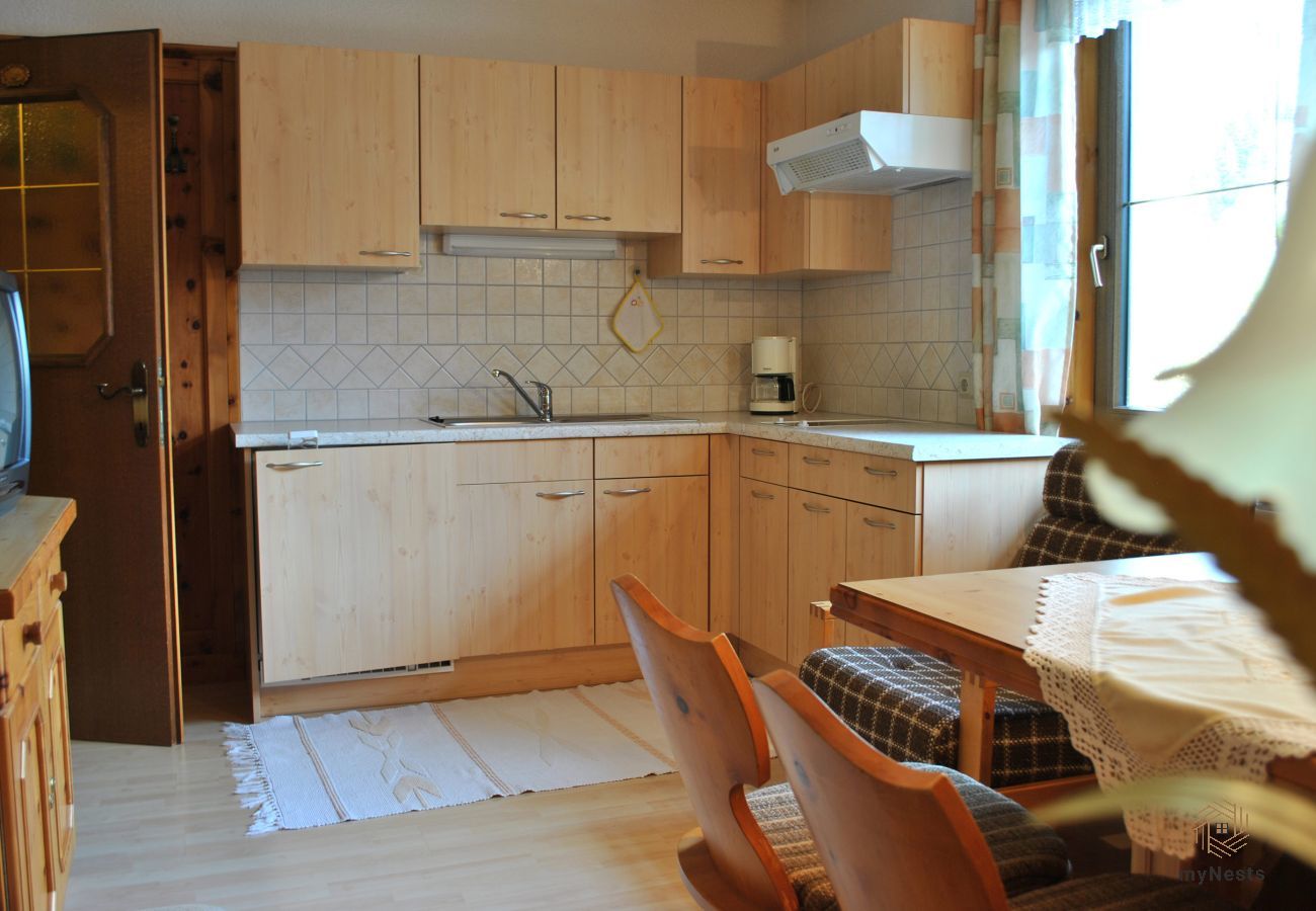 Apartment in Sölktal - Sölkstub'n - Apartment Talblick