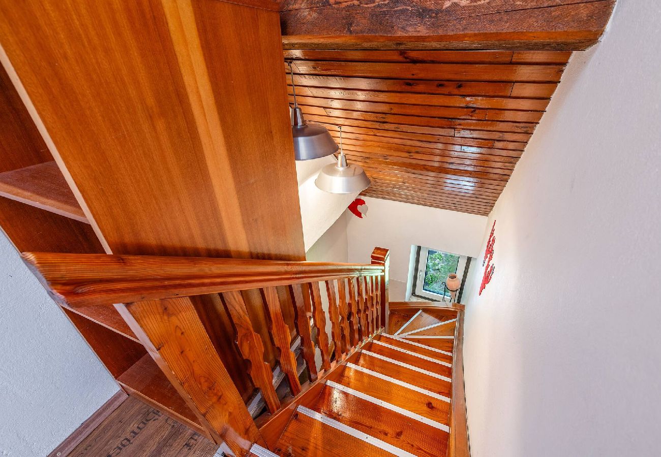 Ferienwohnung in Haus im Ennstal - apart.HAUS 2