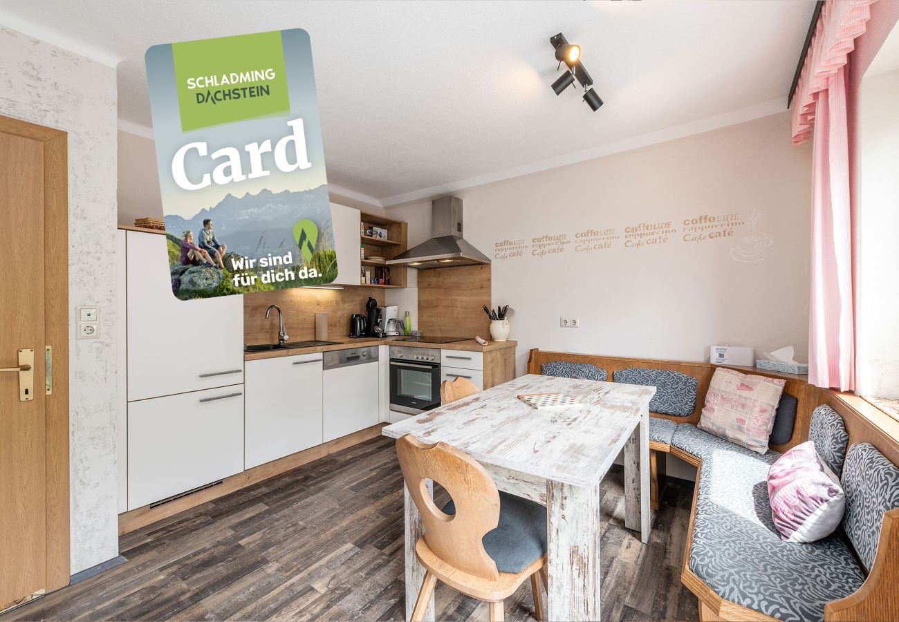 Ferienwohnung in Haus im Ennstal - apart.HAUS 2