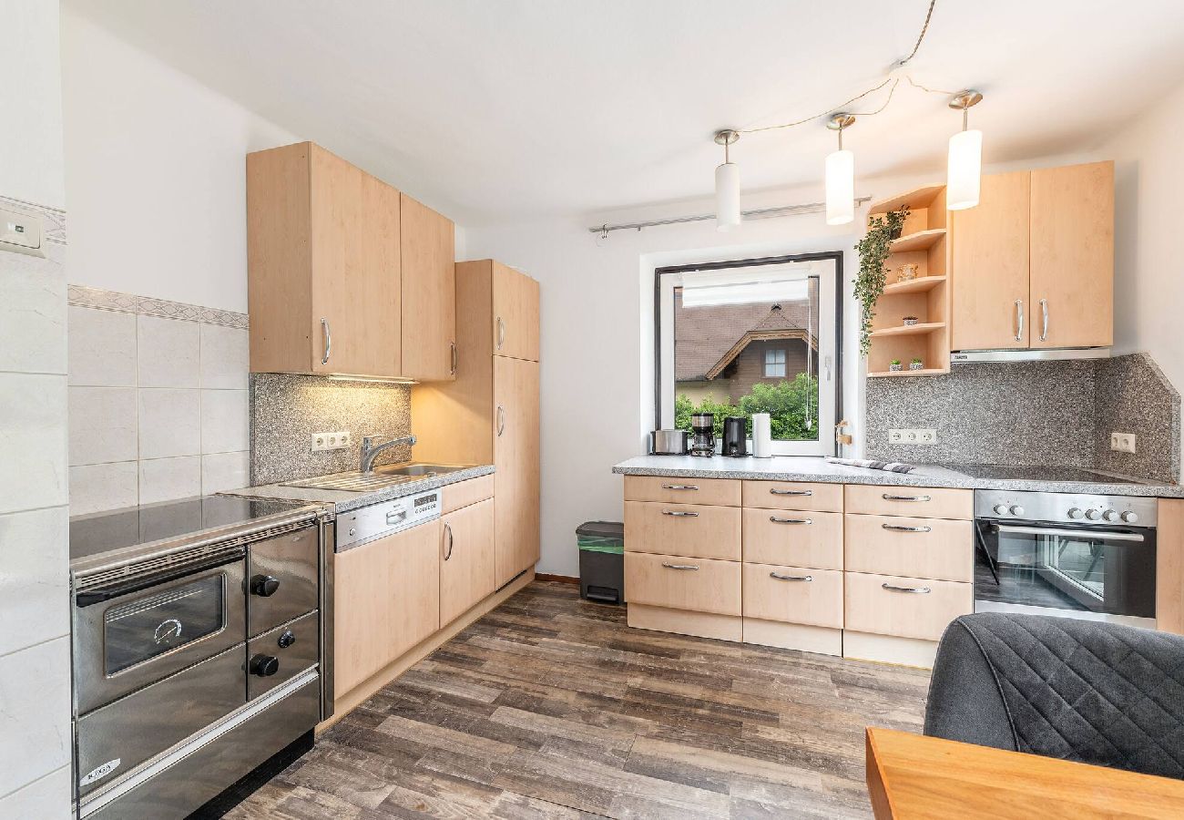 Ferienwohnung in Haus im Ennstal - apart.HAUS 1