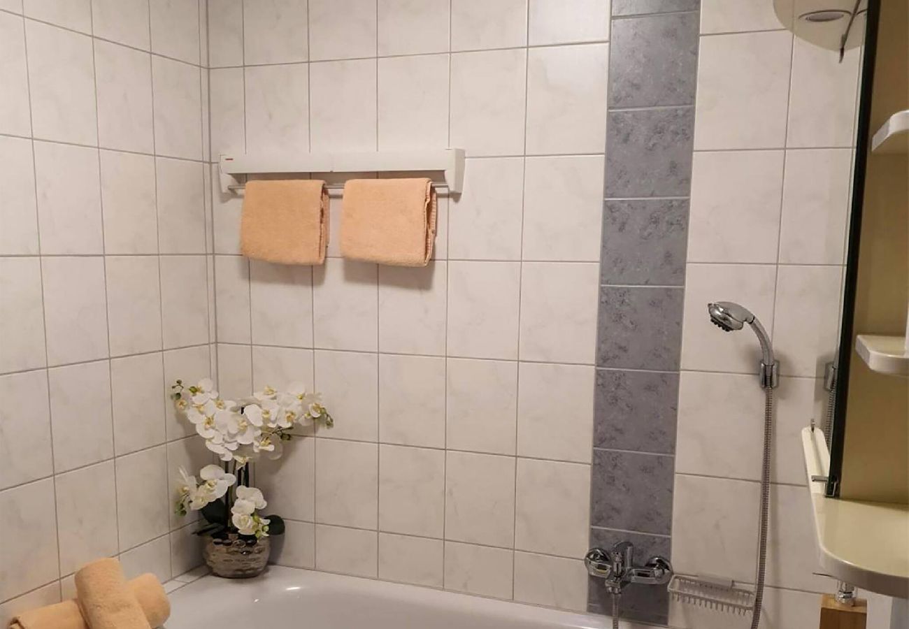 Ferienwohnung in Gröbming - Bachschneider Apartment Hilde