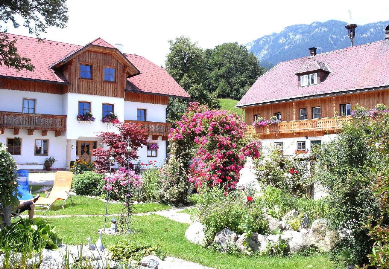 Ferienwohnung in Haus im Ennstal - Bio.HAUS Markus