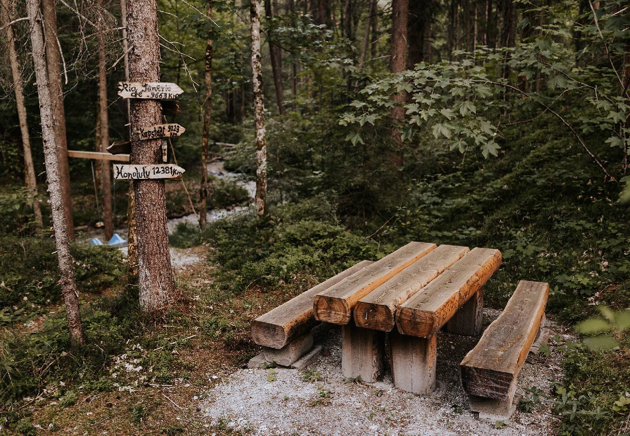 Ferienhaus in Haus im Ennstal - Chalet Hoamatgfühl
