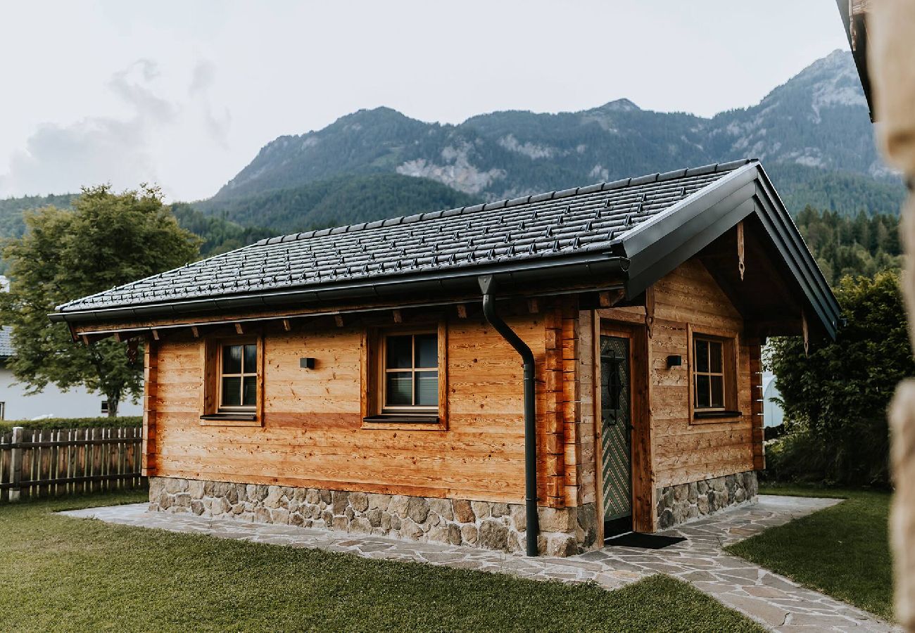 Ferienhaus in Haus im Ennstal - Chalet Hoamatgfühl