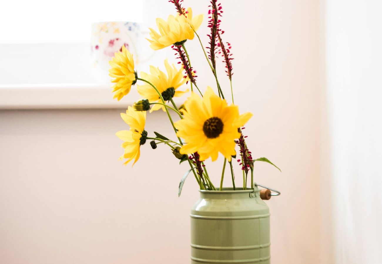 Ferienwohnung in Haus im Ennstal - Gästehaus Erika - Blumen&Wiese