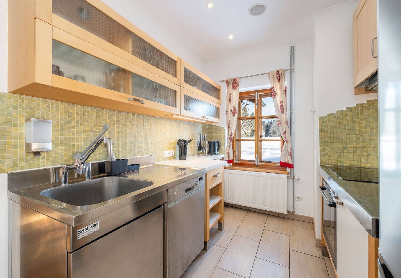 Ferienwohnung in Bad Mitterndorf - Alte Schmiede 1