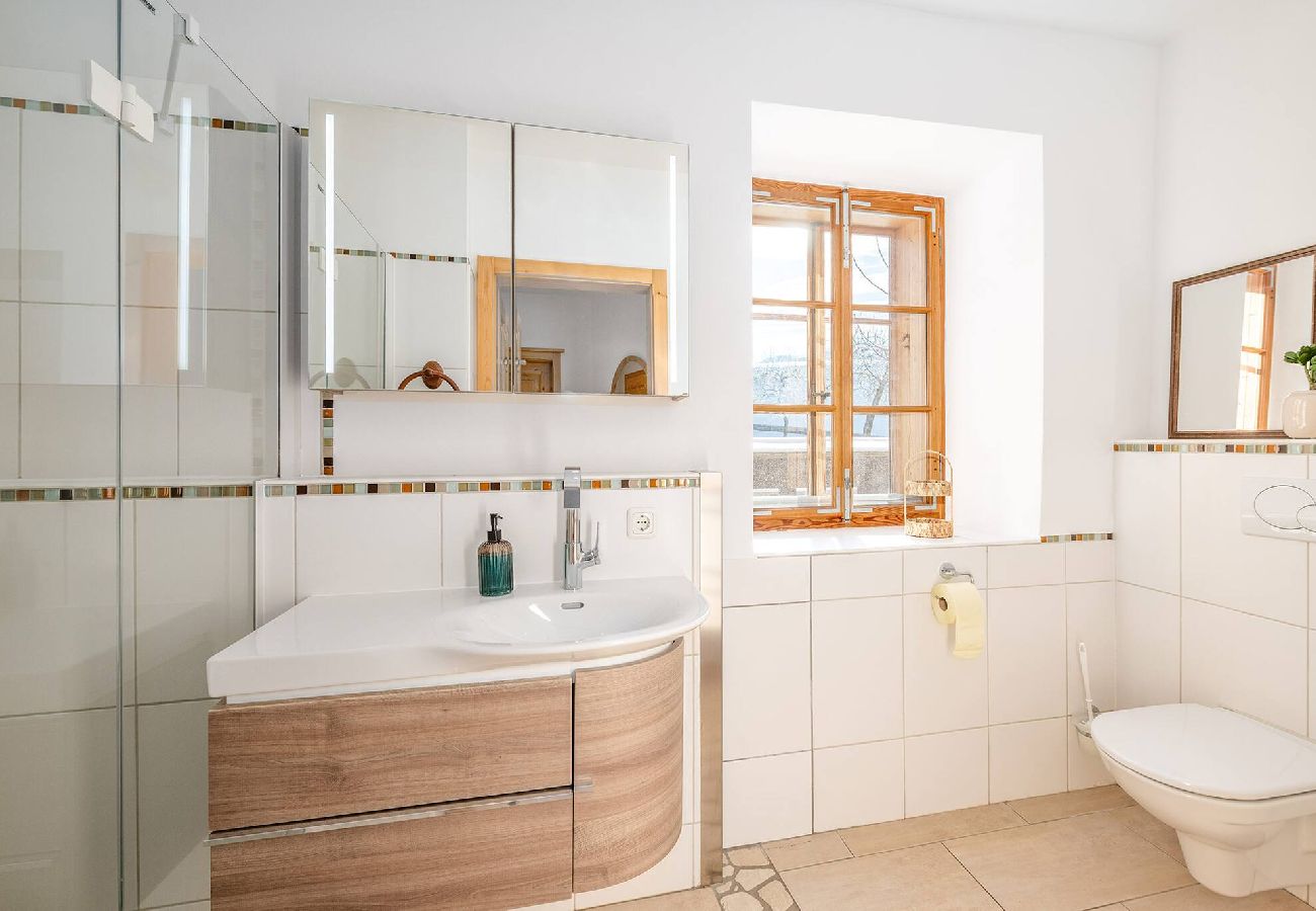 Ferienwohnung in Bad Mitterndorf - Alte Schmiede 1