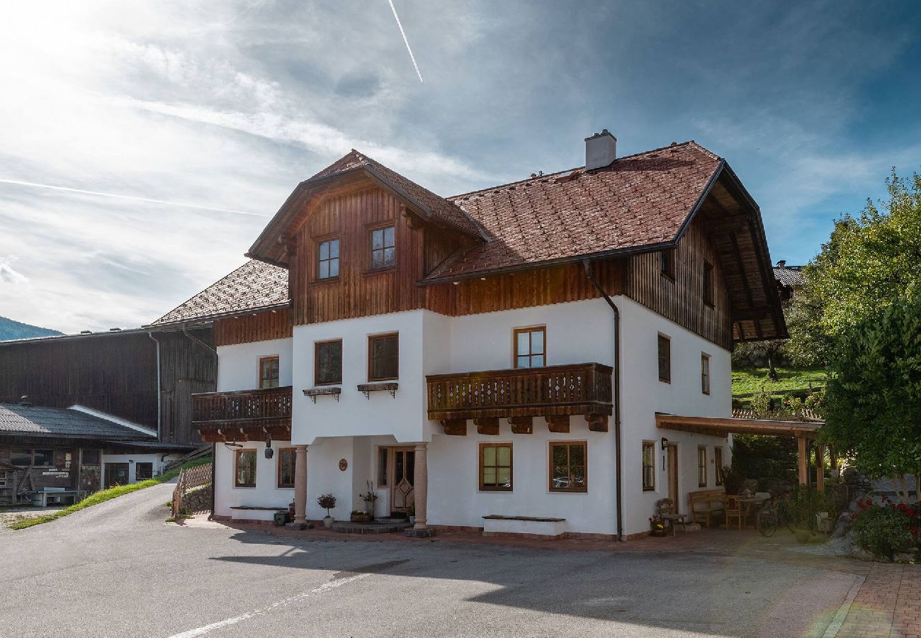 Ferienwohnung in Haus im Ennstal - Bio.HAUS Christina