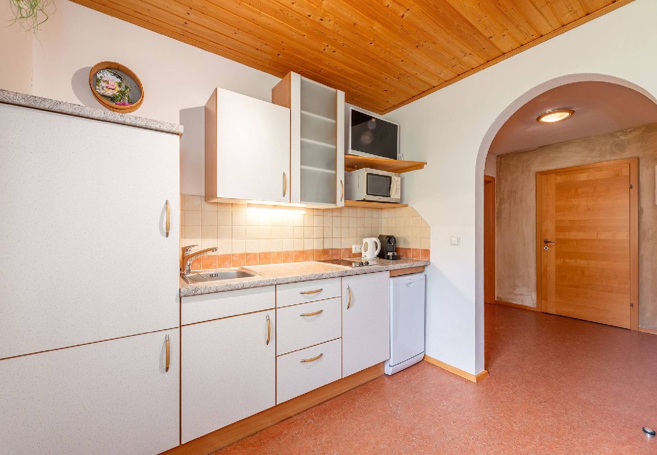 Ferienwohnung in Haus im Ennstal - Bio.HAUS Christina