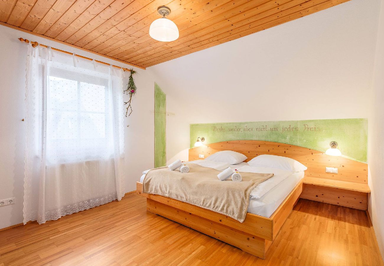 Ferienwohnung in Haus im Ennstal - Bio.HAUS Christina