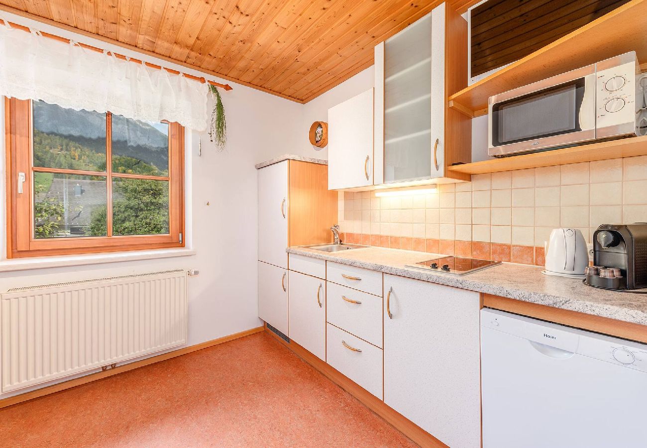 Ferienwohnung in Haus im Ennstal - Bio.HAUS Christina