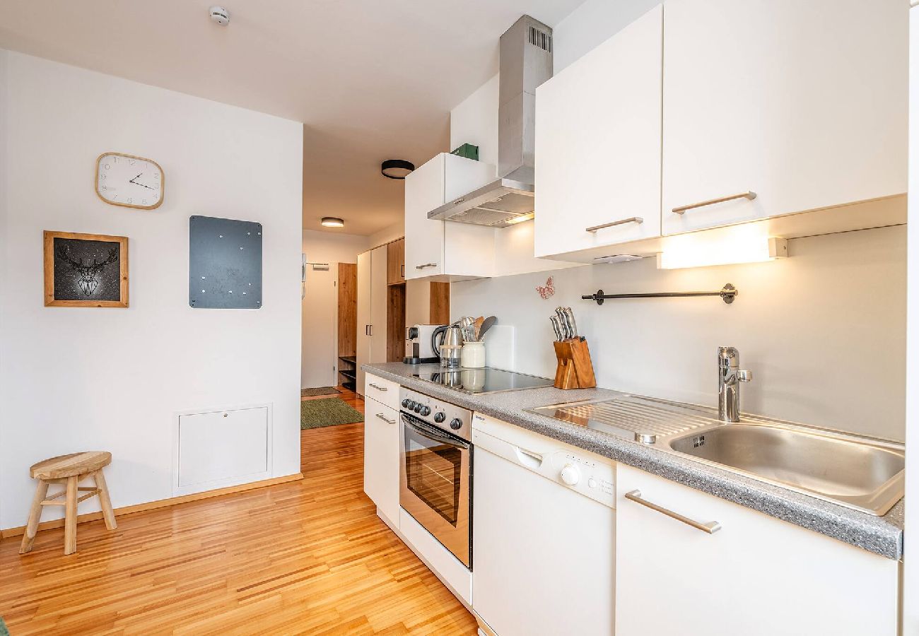 Ferienwohnung in Haus im Ennstal - Mountain Soulscape 1