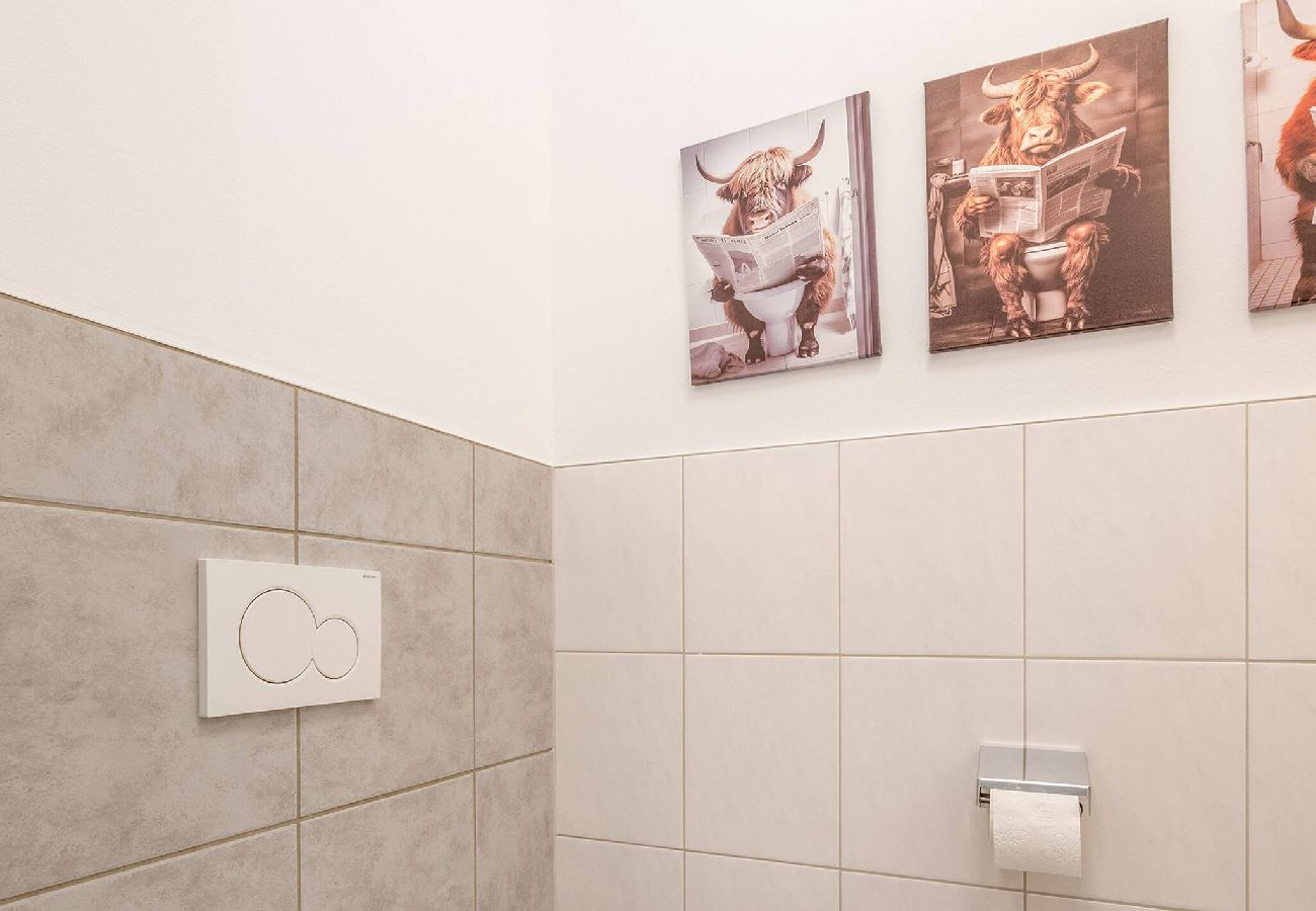 Ferienwohnung in Haus im Ennstal - Mountain Soulscape 1