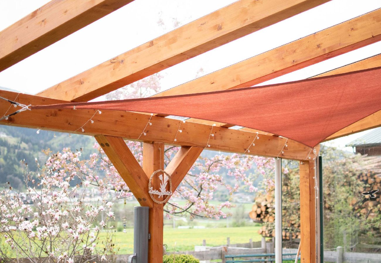 Ferienwohnung in Haus im Ennstal - Gästehaus Erika - Gartenlodge Hauser Kaibling
