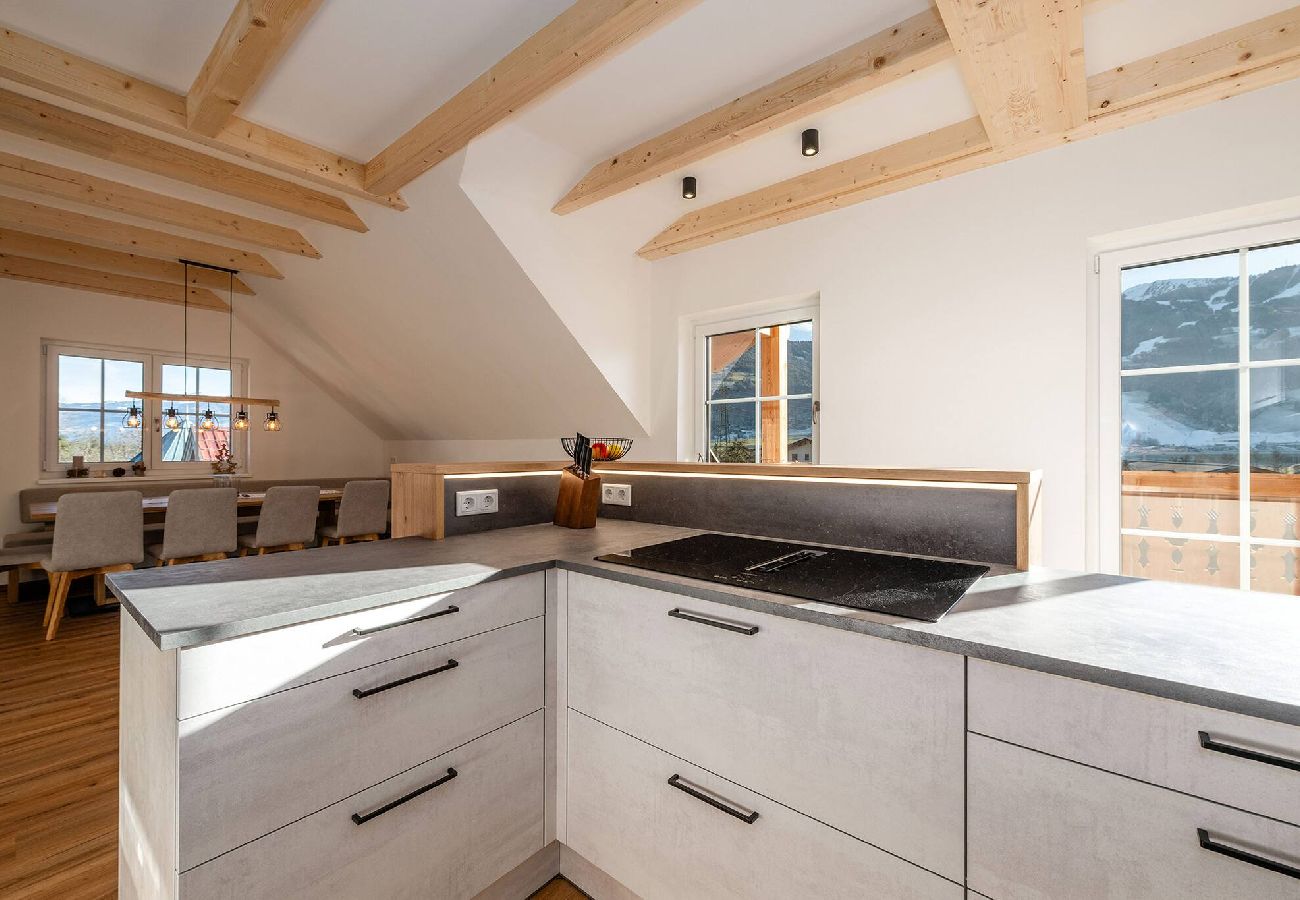 Ferienwohnung in Haus im Ennstal - Stieglerhof - Kaiblingblick 2