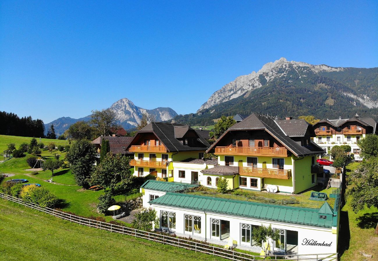 Ferienwohnung in Mitterberg-Sankt Martin - Reisslerhof - Apartment 31 (APP4)