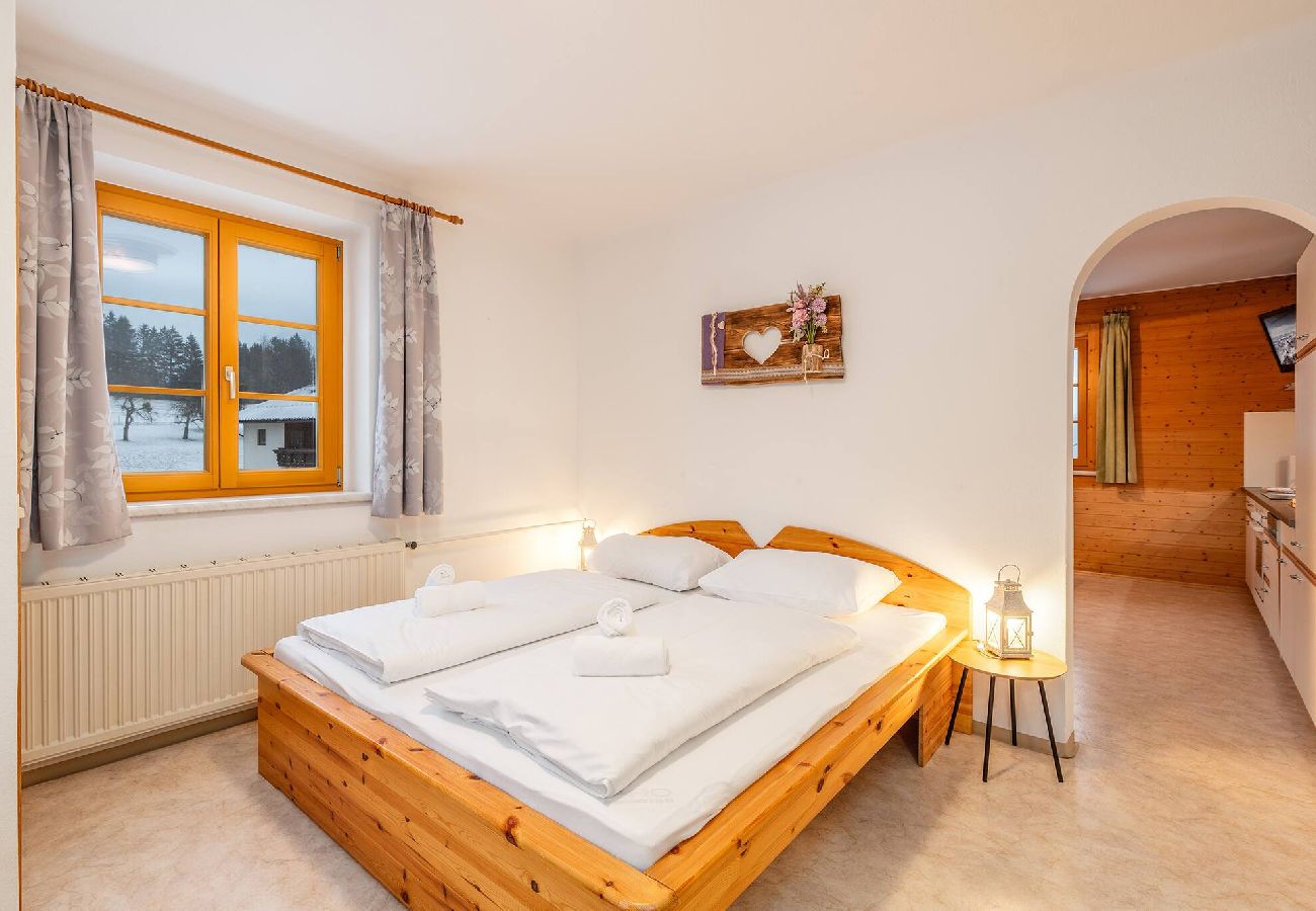 Ferienwohnung in Mitterberg-Sankt Martin - Matzling Apartment 1