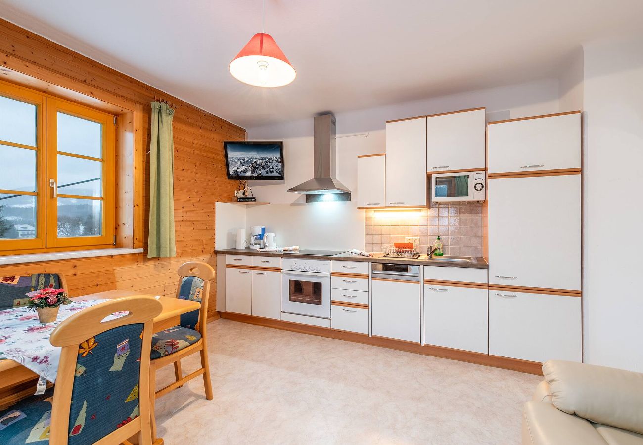 Ferienwohnung in Mitterberg-Sankt Martin - Matzling Apartment 1