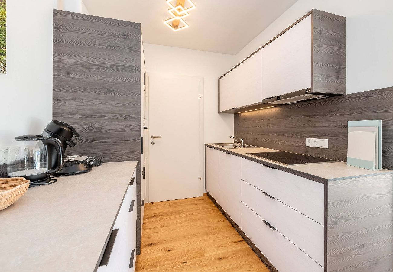 Ferienwohnung in Haus im Ennstal - Wiesenblick Residences - Apartment 15