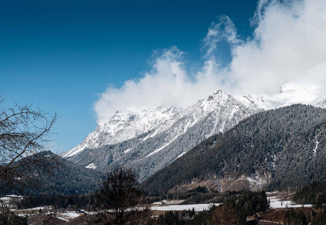 Ferienwohnung in Haus im Ennstal - Peak Access Haus im Ennstal