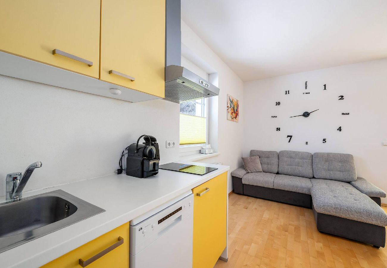 Ferienwohnung in Haus im Ennstal - Peak Access Haus im Ennstal