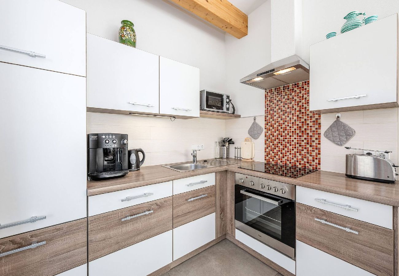 Ferienwohnung in Mitterberg-Sankt Martin - Apartment Fridolin
