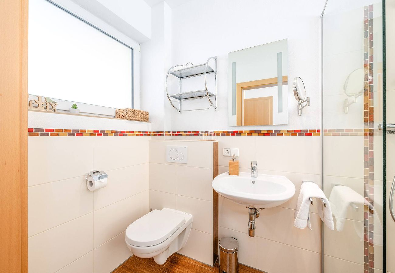 Ferienwohnung in Mitterberg-Sankt Martin - Apartment Fridolin