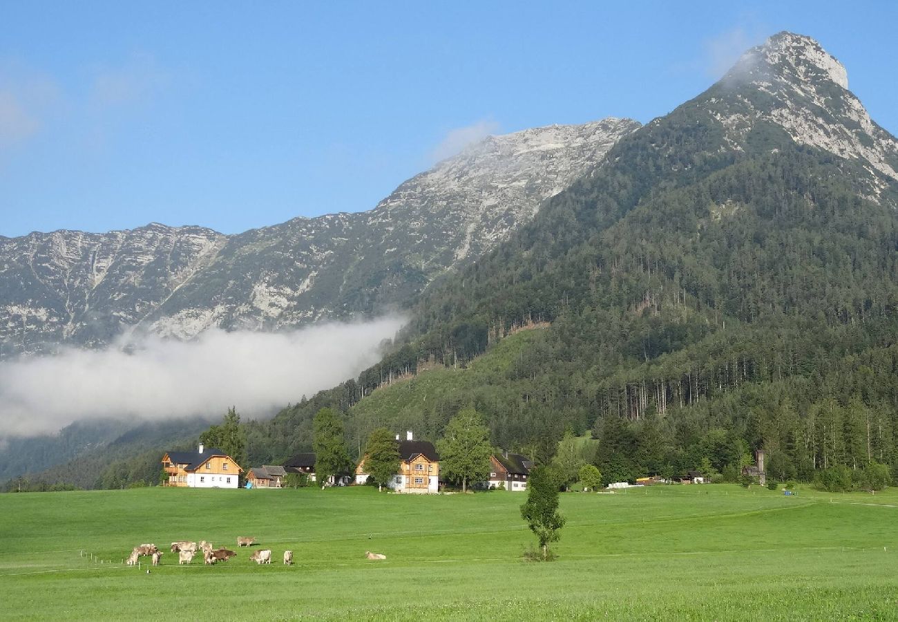 Ferienwohnung in Bad Aussee - Stanglhof - Apartment Sandling