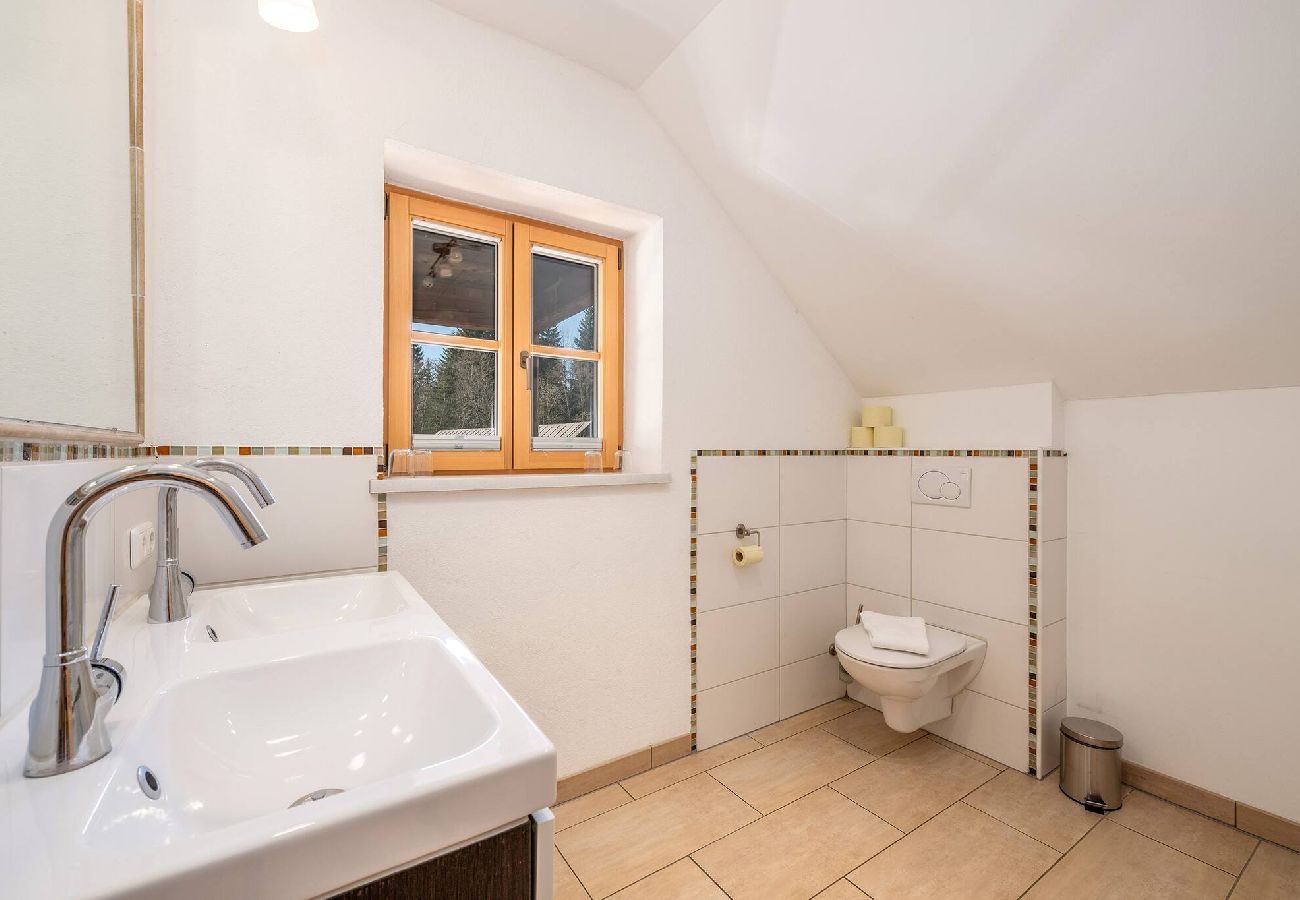 Ferienwohnung in Bad Mitterndorf - Alte Schmiede 2